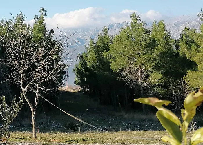 House Roncevic 50 M From Sea A1 Appartamento *